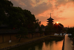 東寺の夜明け