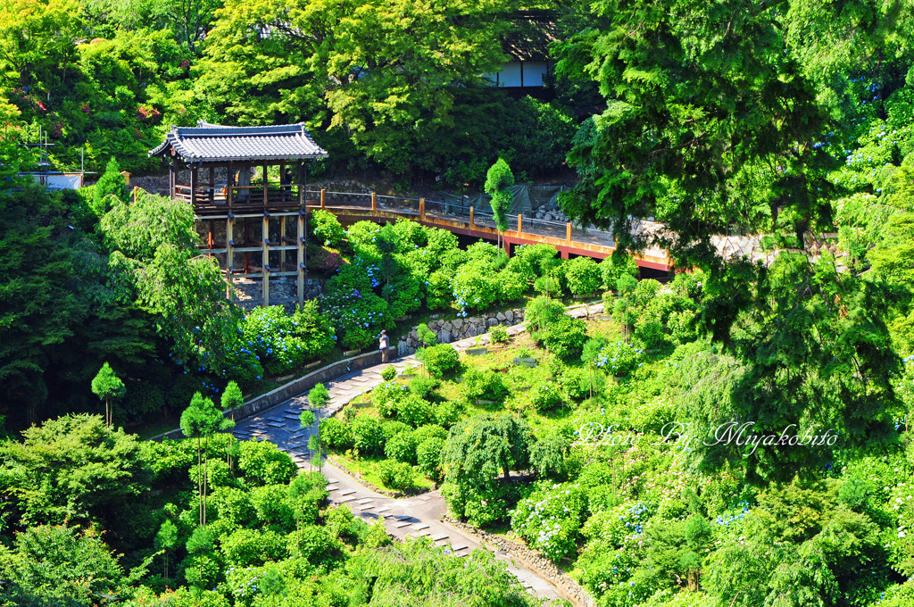 善峯寺