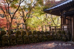 羅漢様も紅葉狩り