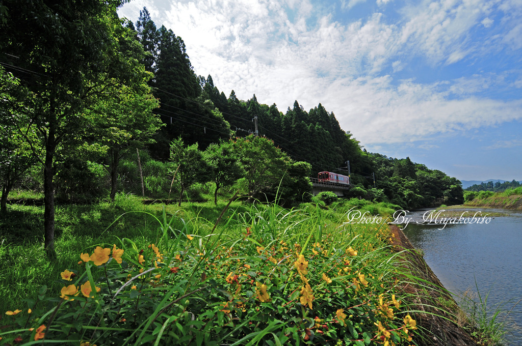 夏近し