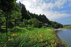 夏近し