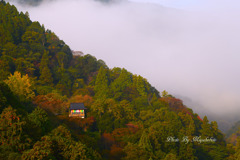 霧の千光寺