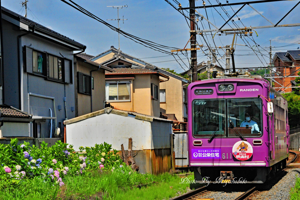 紫陽花が咲く鉄風景
