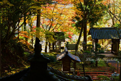 山寺4