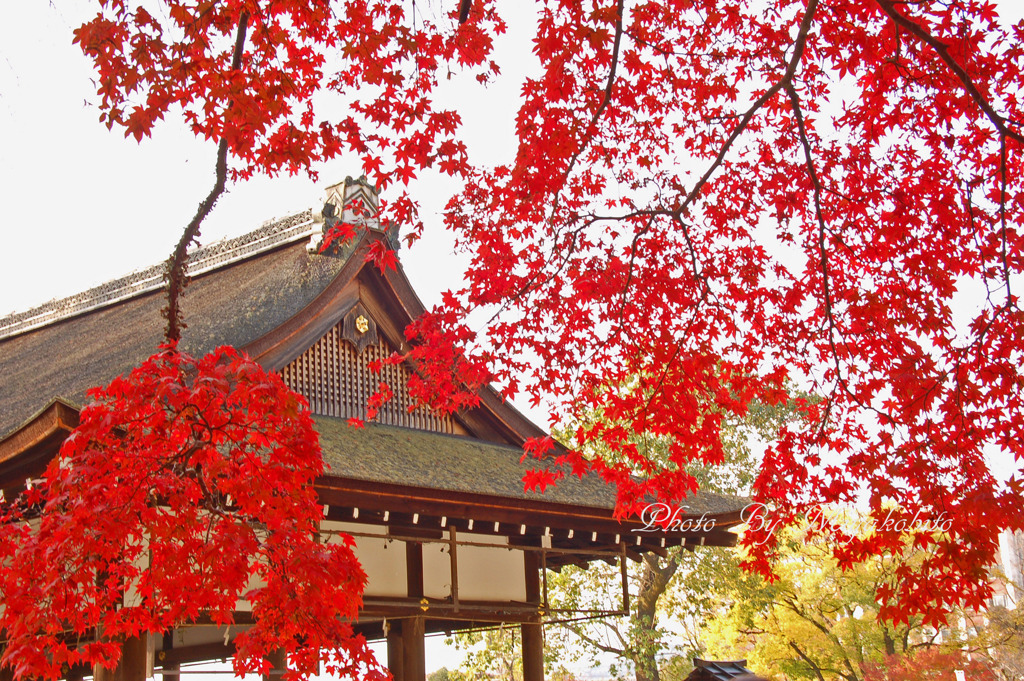 上賀茂神社