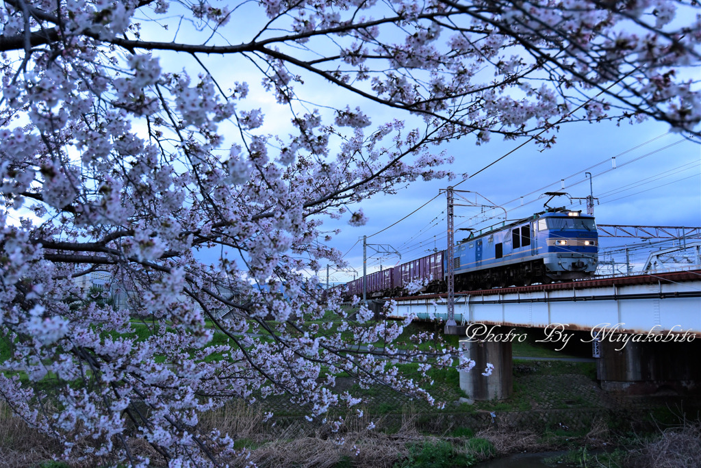 青窯（ＥＦ510－514）