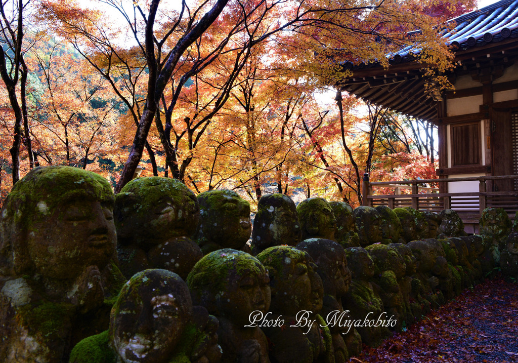 羅漢様も紅葉狩り