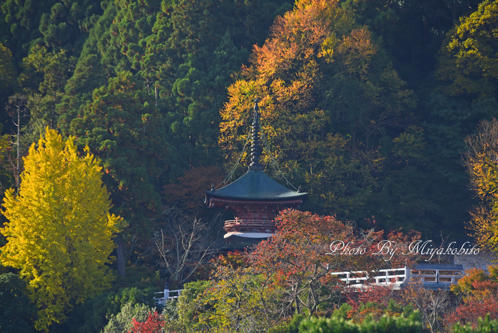 法輪寺