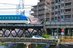 しまかぜ