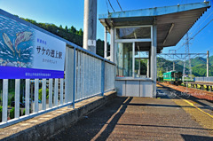 サケ遡上駅