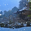 雪が舞う
