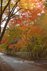 紅葉坂　２