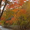 紅葉坂　２