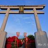 鑑賞日和