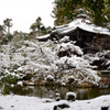 雪の花