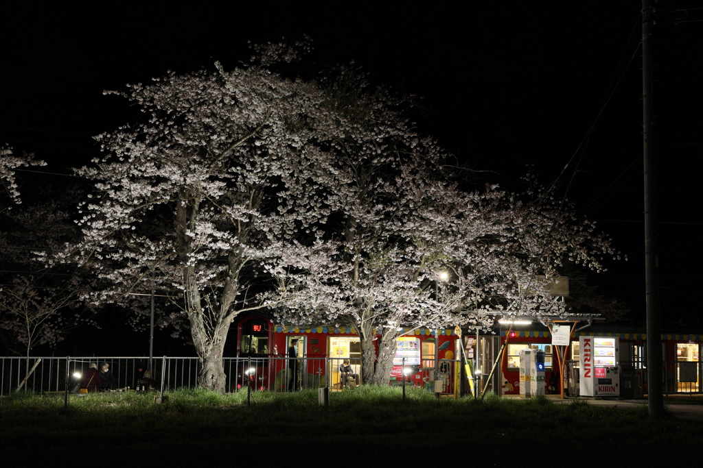 桜のある駅