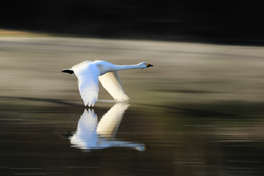 未来に向かって