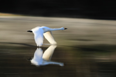 未来に向かって