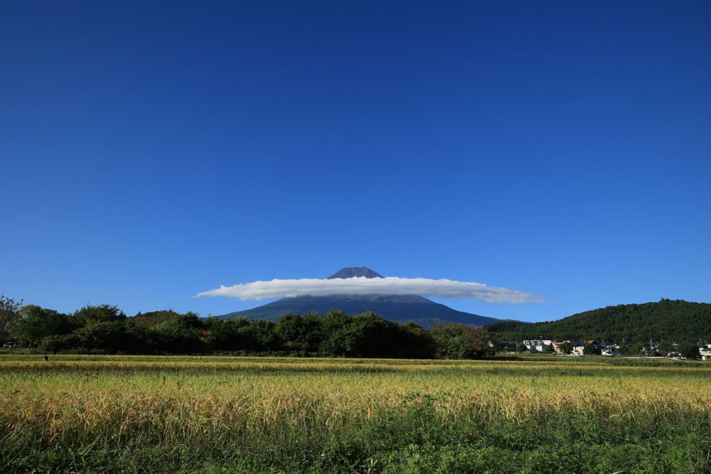 富士の麓にも実りの秋