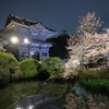 夜桜と山門