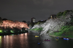 千鳥ヶ淵の夜桜