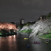 千鳥ヶ淵の夜桜