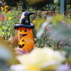 ハロウィン仕様