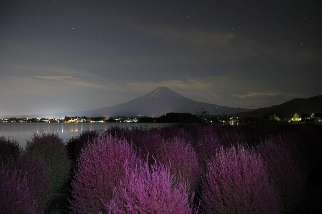 夜の大石公園