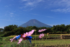 富士山秋景色