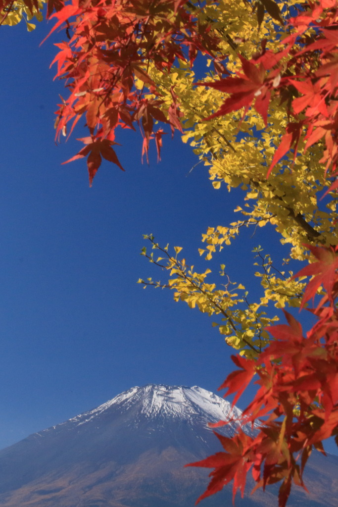 紅葉と富士山-2