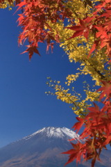 紅葉と富士山-2