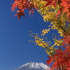 紅葉と富士山-2