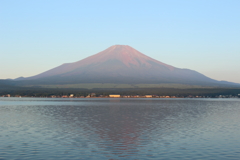 朝日を浴びて