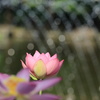 涼感ー２