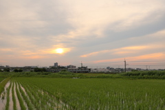 田園風景
