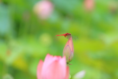 一休み