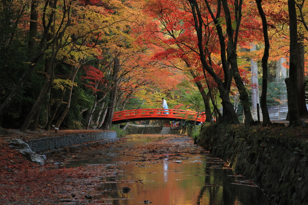 錦秋と紅い橋