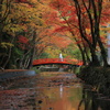 錦秋と紅い橋