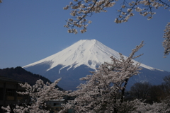 麓にも春が来た