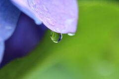 雨上がり