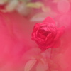 やっぱり赤