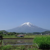 たくさん実ると良いね