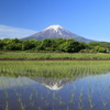 田植え完了