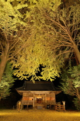 秋の二岡神社