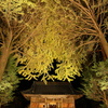 秋の二岡神社