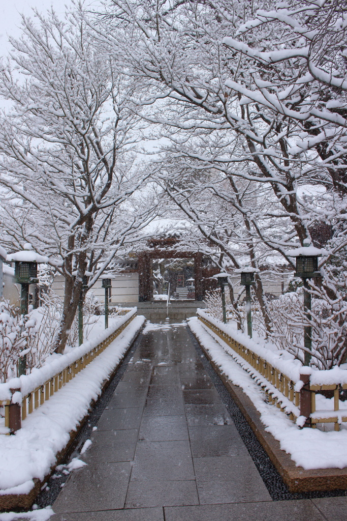 雪の参道