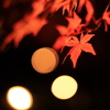 秋の灯り-2