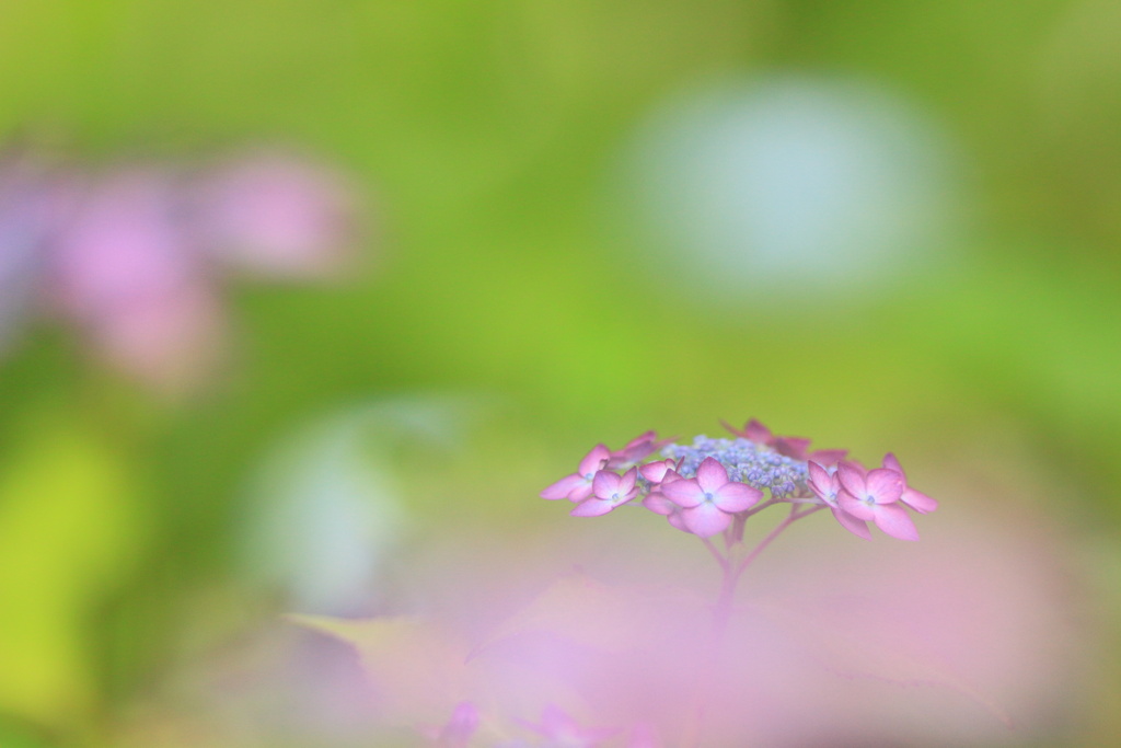 謙虚