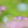 謙虚