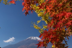 紅葉と富士山